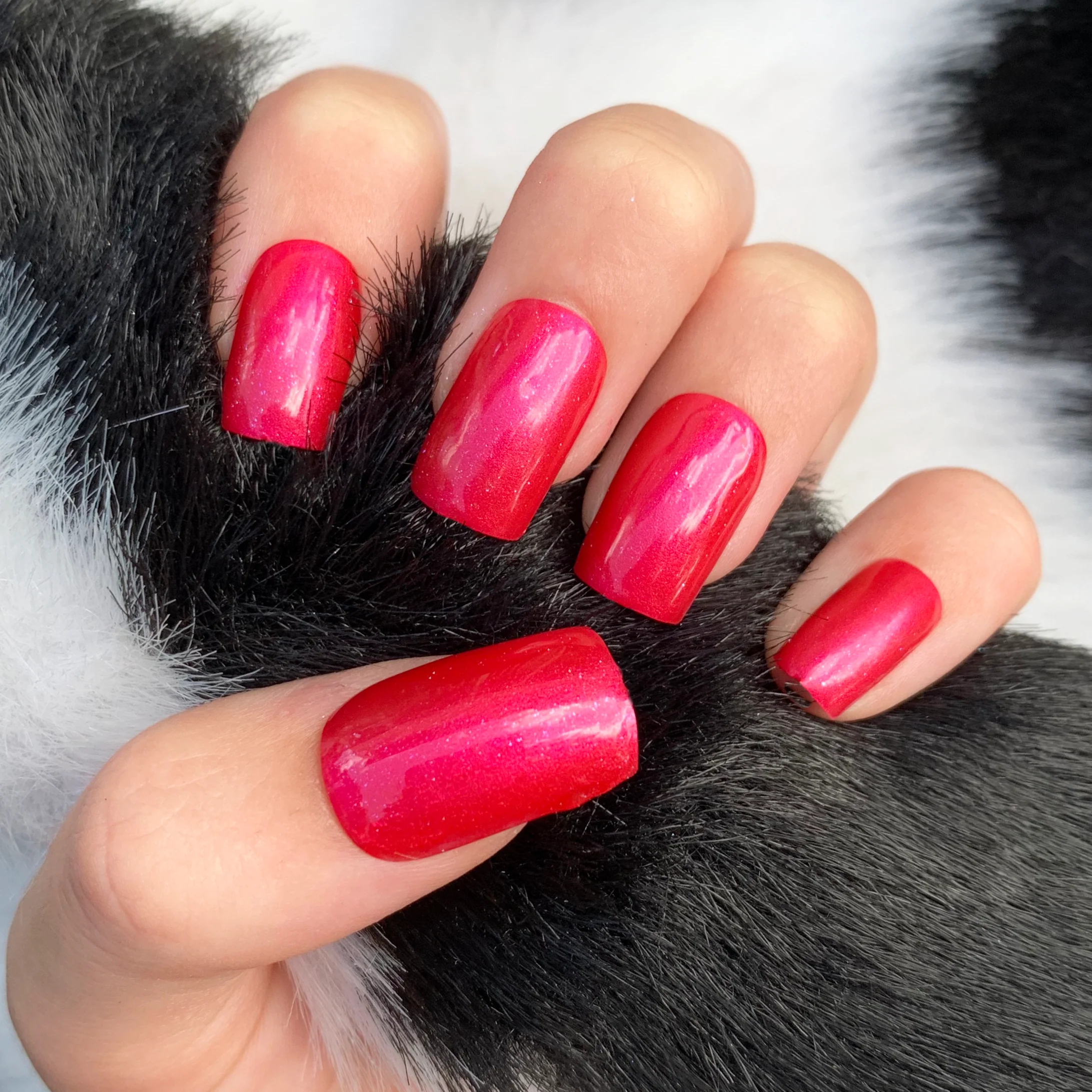 Cerise - Classic Nail Powder - Image 3