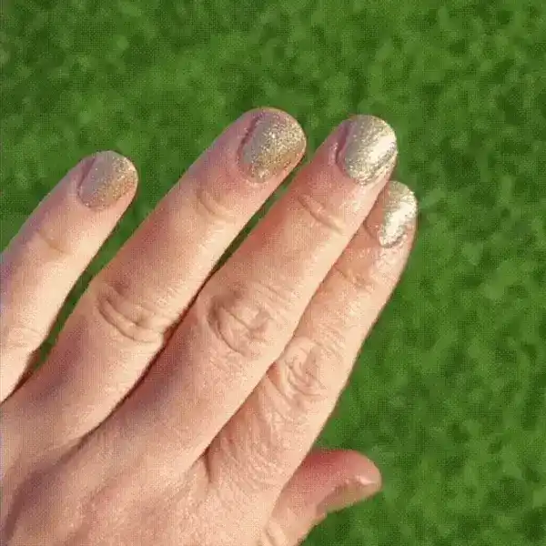 Champagne - Classic Nail Powder - Image 2