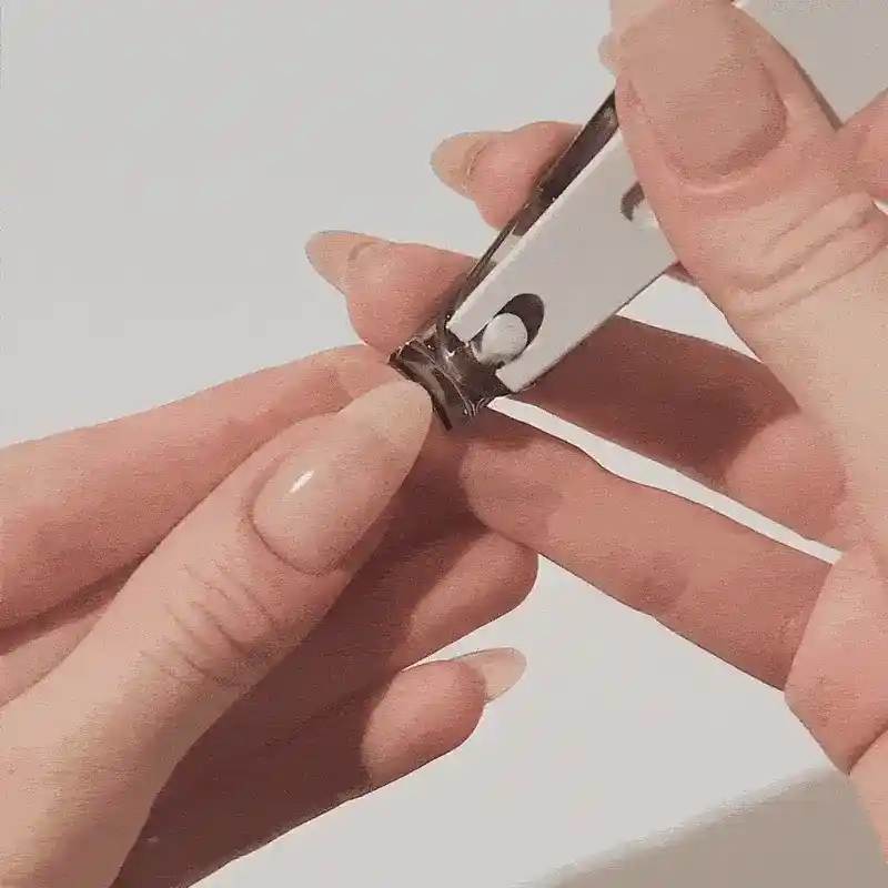Combo Clippers - Image 5