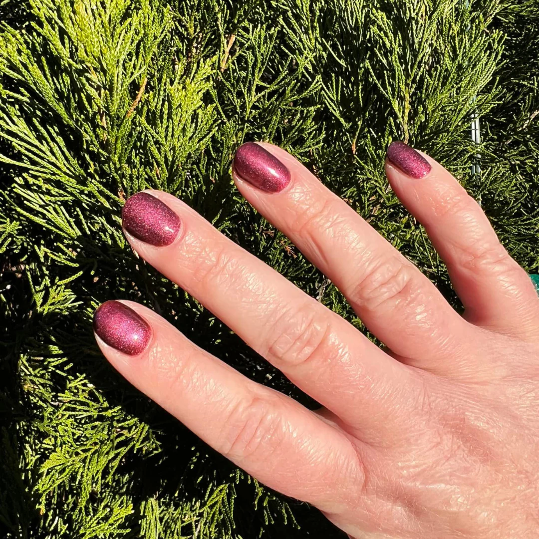 Wine - Classic Nail Powder - Image 3